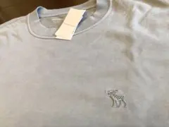 新品☆Abercrombie&Fitch長袖カットソーLライトブルー☆アバクロのサムネイル