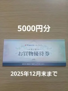 ヤマダ電機　株主優待券　5000円分