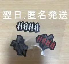 HANA デビュー直前イベント ロゴステッカー セット