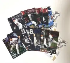 プロ野球チップス2025 ライオンズ　18枚