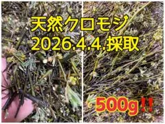 天然クロモジ（花枝葉の乾燥）500gのサムネイル