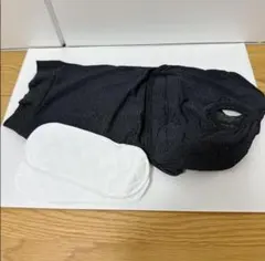 Item thumbnail for item f5fbd65b-a1d1-4488-b93b-b9385847a3cb