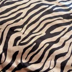 10/6限定SALE　トラ タイガー　シルクタッチ　生地　布