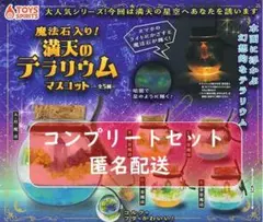 魔法石入り！満天のテラリウムマスコット 全5種セット　ガチャ
