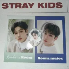 straykids スキズ 2021 シーグリ トレカ マグネット バンチャン