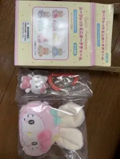 サンリオ シークレットミニポーチチャーム カラナビ キティ