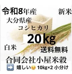 令和8年 新米 大分県産コシヒカリ白米20㎏キお米10㎏キロこめロ ×2