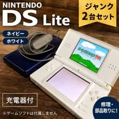 ジャンク品】Nintendo DS Lite 本体 2台セット - メルカリ