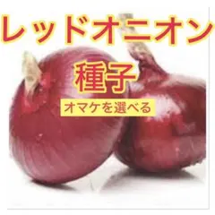 k rumi tt様 リクエスト 2点 まとめ商品