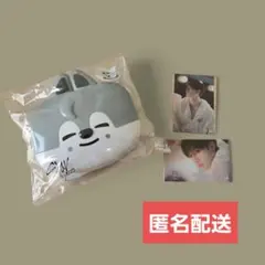 スキズ skzoo オンラインくじ D賞 ミニボックス ウルフチャン