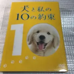犬と私の10の約束 プレミアム・エディション('08「犬と私の10の約束」フィ…