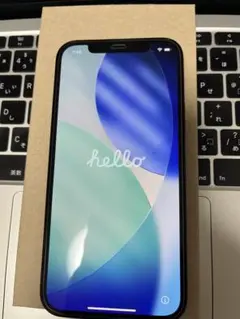 【美品】Apple iPhone 12pro 256GB バッテリー100%