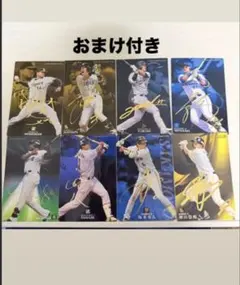 プロ野球 サイン入りトレーディングカードセット 19枚