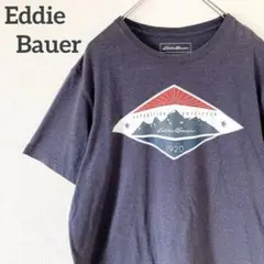 【Eddie Bauer】Tシャツ グラフィック ネイビー アウトドア 山 L