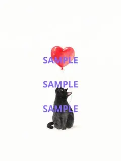 黒猫と風船 ポストカード デジタルアート