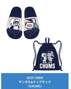 2025年最新】スワローズ チャムスの人気アイテム - メルカリ