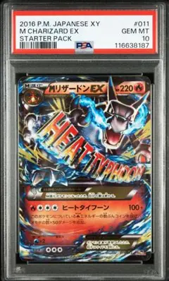 2025年最新】リザードンex psa10 20thの人気アイテム - メルカリ