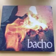 bacho reconquista レコンキスタ