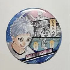 ハイキュー!!コレクション缶バッジメモリーズ第２弾 星海光来