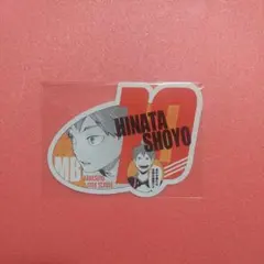 ハイキュー カットカード 日向