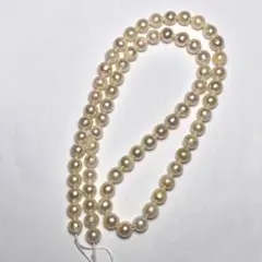 L918 あこや真珠5.5-6.0mm