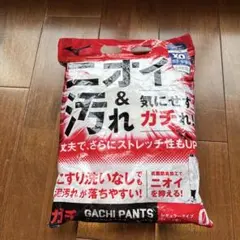 【ミズノ】野球　練習用パンツ　ホワイト