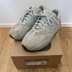 adidas YEEZY Boost 700 