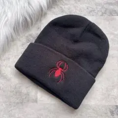 ニット帽 ビーニー ブラック 黒 メンズ スパイダー 蜘蛛 かっこいい おしゃれ