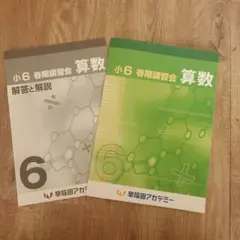 早稲田アカデミー６年下13冊セット　未使用 中学受験 早稲田アカデミー 小6テキスト