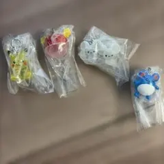 ポケモン めじるしアクセサリー2