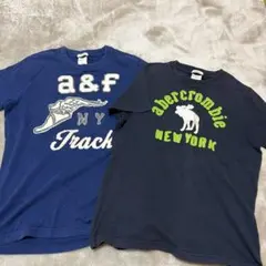 Abercrombie & Fitch Tシャツ 2枚セット
