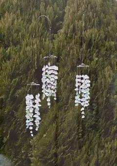 Item thumbnail for item 154c91d6-5b92-45b0-bc4f-fcdac5980db3