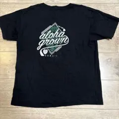 ハワイ　Aloha Grown Tシャツ Lサイズ