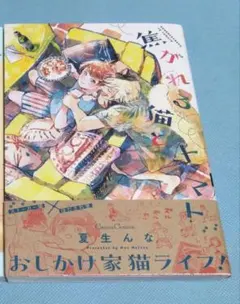 「焦がれる猫とトマト」夏生 んな BLコミック ボーイズラブ