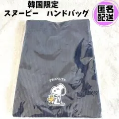 ●韓国限定●　スヌーピー　ピーナッツ　セカンドバッグ　ネイビー　2way
