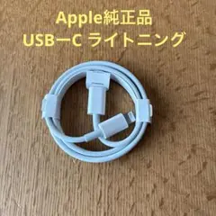 USB-C ライトニングケーブル　純正品