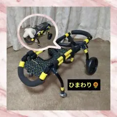 Item thumbnail for item a859d66b-29f6-41a0-b045-a3ead929372a