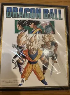 バインダーとリフィルのみ ドラゴンボール9ポケットバインダー 40th 鳥山明