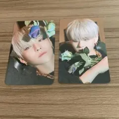 TREASURE ヨシ YG トレカ night garden 2枚