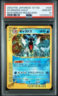 ポケモンカード　ギャラドス　eカード　渦巻きあり　psa10 PSA10鑑定済〕ギャラドス(カードe)【-】{027/088}