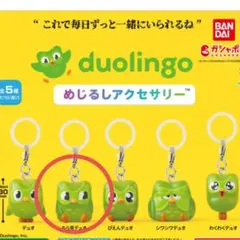 duolingo めじるしアクセサリー ちら見