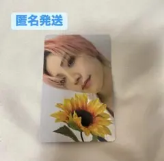 &team YUMA ユウマ　青嵐 showcase ショーケース