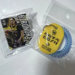 渡邉裕規 2点セット