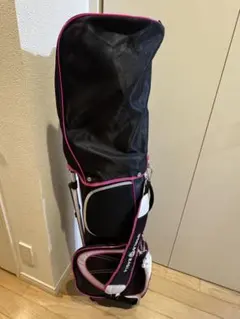 WORLD EAGLE レディース ゴルフクラブセット 10本 右利き用