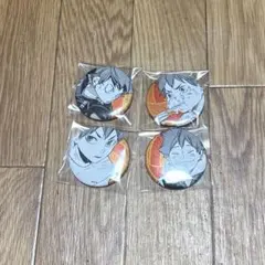 ハイキュー!!　缶バッジ4個セット　EMOTIONS　日向翔陽