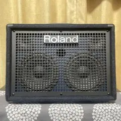 2026年最新】roland KC-100の人気アイテム - メルカリ
