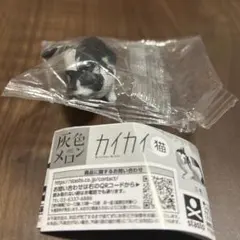 カイカイ猫　ハチワレ