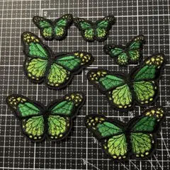 刺繍ワッペン アイロンワッペン バタフライ 蝶々 グリーン 7枚セット