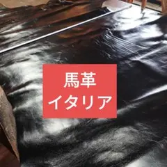 馬革姫革本革ジャケット用レザーフルタン茶芯イタリア馬
