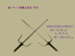 Item thumbnail for item 6a16a120-ee02-452c-ad53-549ee8a9e1e7